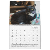 Tabby's Place Calendar 2022 Kalender (Mar 2026)