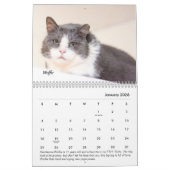 Tabby's Place Calendar Kalender (Jan 2026)