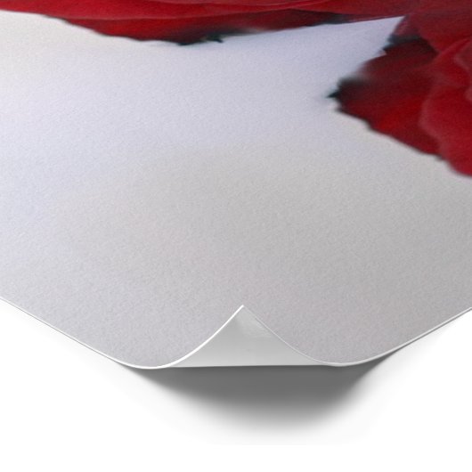 Tabel Elegant Red Rose Wedding Seating Chart Poster (Hoek)