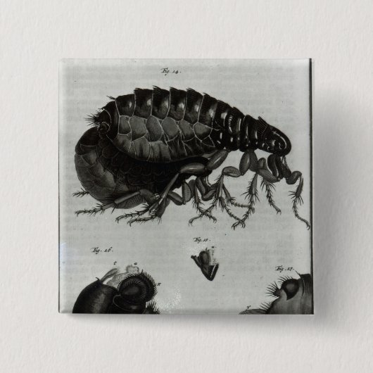 Tabel IV van vliegen en vliegen Vierkante Button 5,1 Cm (Voorkant)
