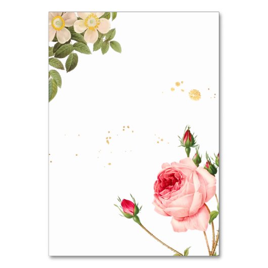 Tabel nr./ botanisch/pinitekaart kaart (Achterkant)