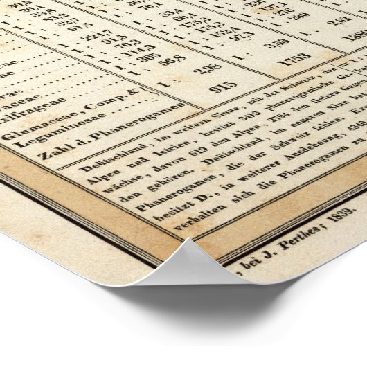 tabel van de statistieken poster (Hoek)