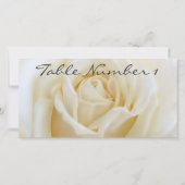 Tabelnummer Kaarten (Voorkant)