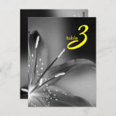 tabelnummerkaart briefkaart (Voorkant / Achterkant)