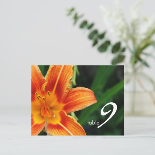 tabelnummerkaart briefkaart (Staand voorkant)