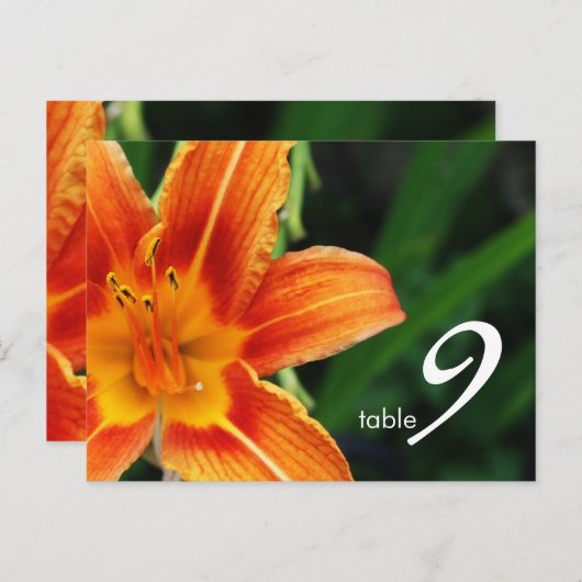 tabelnummerkaart briefkaart (Voorkant / Achterkant)