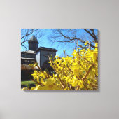 Tabernacle en Forsythia - Martha's wijngaard Canvas Afdruk (Voorkant)