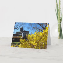 Tabernacle en Forsythia - Martha's wijngaard