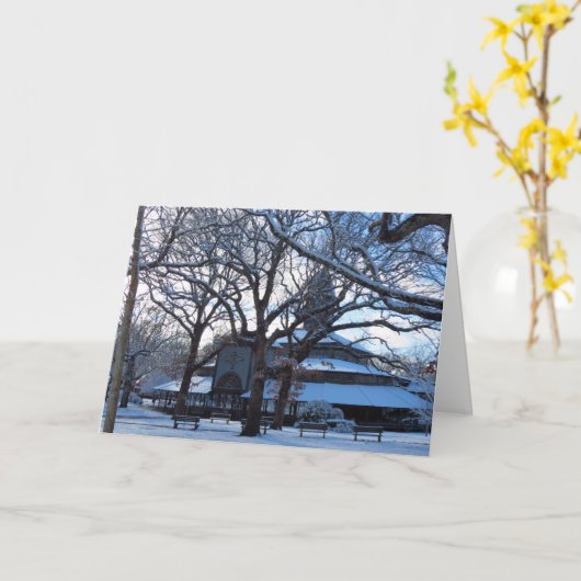 Tabernacle Morning After Snow - Martha's wijntuin Kaart (Gele Bloem)