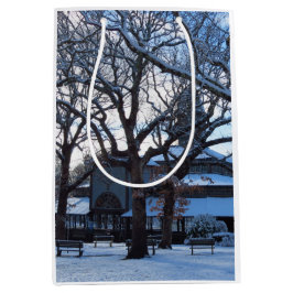 Tabernacle Morning After Snow - Martha's wijntuin Medium Cadeauzakje