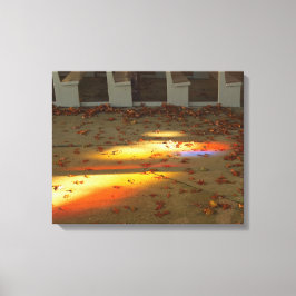 Tabernakelbladeren en licht - Martha's wijngaard Canvas Afdruk