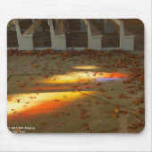 Tabernakelbladeren en licht - Martha's wijngaard Muismat (Voorkant)