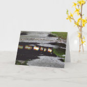 Tabernakelvensterreflectie - Martha's wijntuin Kaart (Gele Bloem)