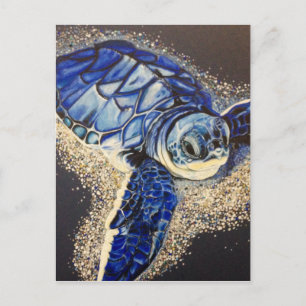 Tabin de baby zee schildpad briefkaart