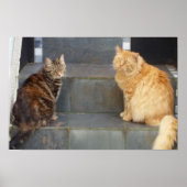 Tabitha Twitchit & Mungojerrie Poster (Voorkant)
