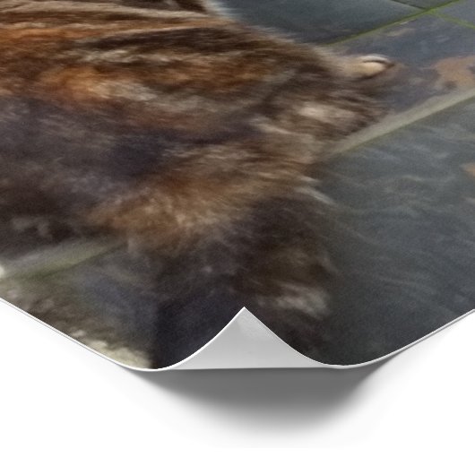 Tabitha Twitchit & Mungojerrie Poster (Hoek)