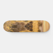 Tabla de Skate Cachorro de León en el Césped Persoonlijk Skateboard (Horizontaal)