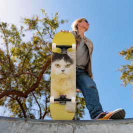 Tabla de skate Cachorro Gato Persa Persoonlijk Skateboard