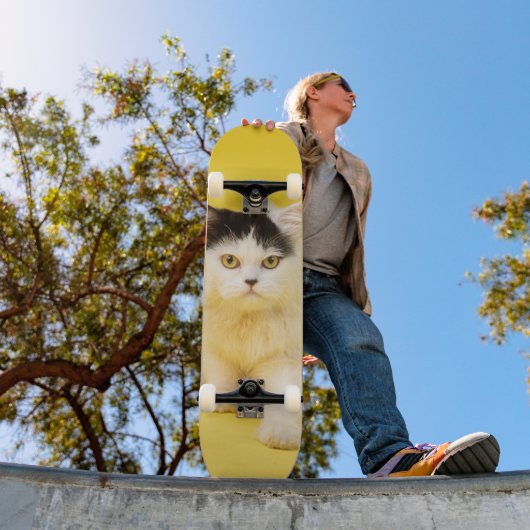 Tabla de skate Cachorro Gato Persa Persoonlijk Skateboard (Buiten 1)