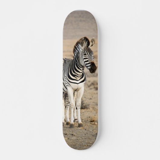Tabla de Skate Cebra Animal Salvaje Persoonlijk Skateboard (Voorkant)