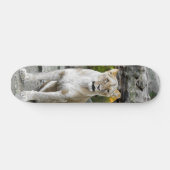 Tabla de Skate Leona Salvaje Sentada Persoonlijk Skateboard (Horizontaal)