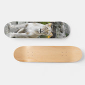 Tabla de Skate Leona Salvaje Sentada Persoonlijk Skateboard (Horizontaal)