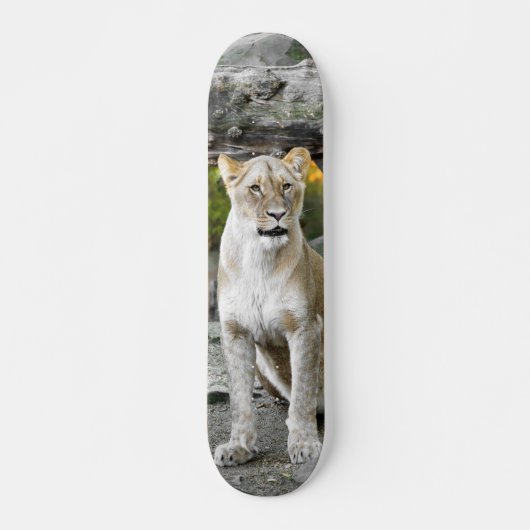 Tabla de Skate Leona Salvaje Sentada Persoonlijk Skateboard (Voorkant)