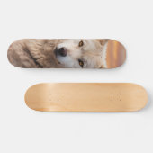 Tabla de Skate Lobo Blanco en el Atardecer Persoonlijk Skateboard (Horizontaal)