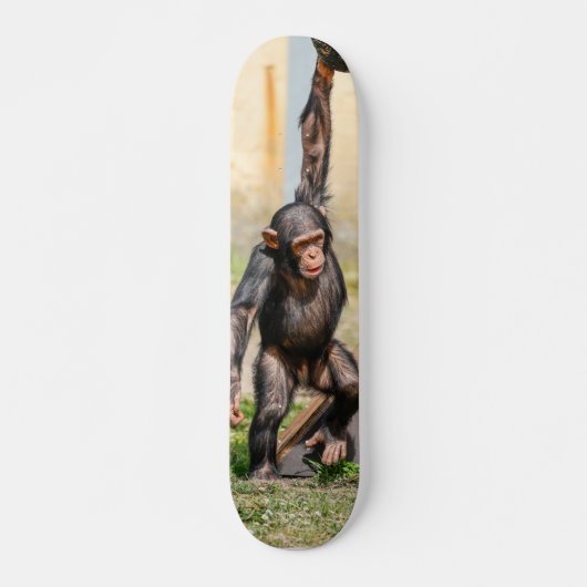 Tabla de Skate Mono Chimpancé Guindado Persoonlijk Skateboard (Voorkant)