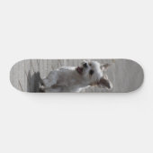 Tabla de Skate Perrito Peludo Blanco Corriendo Persoonlijk Skateboard (Horizontaal)