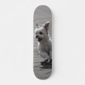 Tabla de Skate Perrito Peludo Blanco Corriendo Persoonlijk Skateboard (Voorkant)