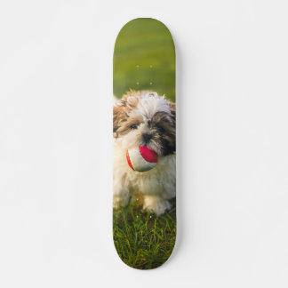 Tabla de Skate Perrito Peludo con su pelota Persoonlijk Skateboard