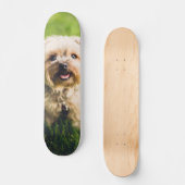 Tabla de Skate Perrito Terrier Adorable Persoonlijk Skateboard (Voorkant)