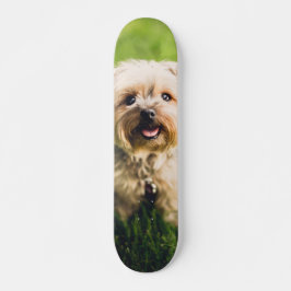 Tabla de Skate Perrito Terrier Adorable Persoonlijk Skateboard
