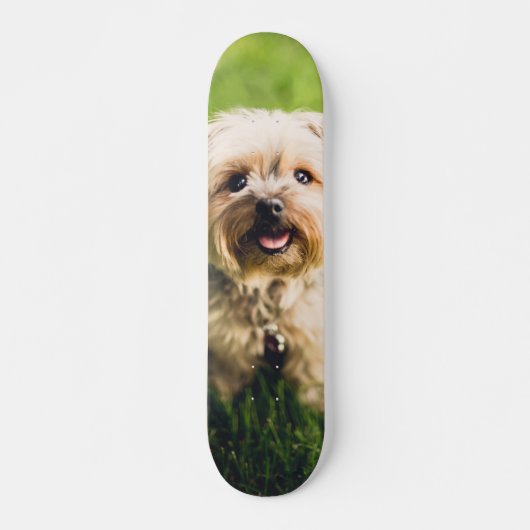 Tabla de Skate Perrito Terrier Adorable Persoonlijk Skateboard (Voorkant)