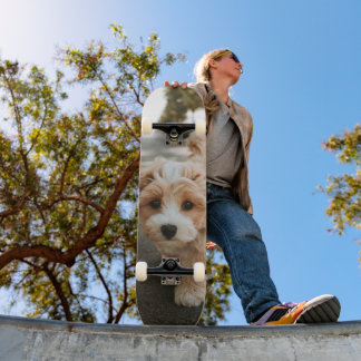 Tabla de Skate Perro Peludo Colores Crema y Blanco Persoonlijk Skateboard