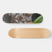 Tabla de Skate Ratón Mojado Salvaje Persoonlijk Skateboard (Horizontaal)