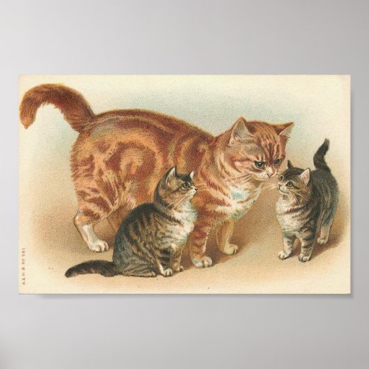 tablet met Kittens Poster (Voorkant)