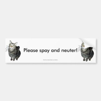 Tablet "Slaat en Neuter" met kattebumpersticker Bumpersticker