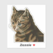  tablet sticker (Vel)