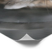 Tac-stare - Poster (Hoek)