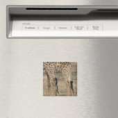 Tacht Giraffes (Giraffa) Magneet (Insitu (Vaatwasser))