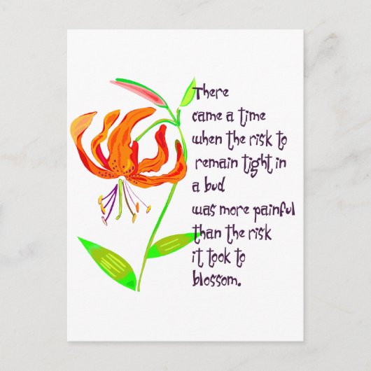 Tacht in een Bud Briefkaart (Voorkant)