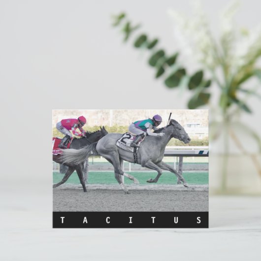 Tacitus Winning the Wood Memorial Stakes Briefkaart (Staand voorkant)