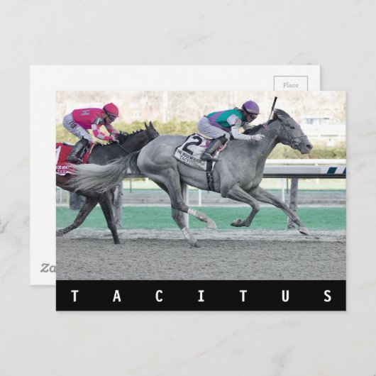 Tacitus Winning the Wood Memorial Stakes Briefkaart (Voorkant / Achterkant)