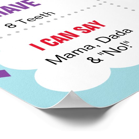 Taco Bout a Birthday Boy Milestone Poster (Hoek)