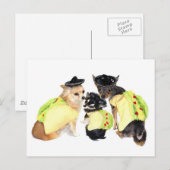 Taco Chihuahuas Briefkaart (Voorkant / Achterkant)