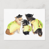 Taco Chihuahuas Briefkaart (Voorkant)