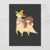Taco Loving Animals Lazy Sloth Riding Llama Briefkaart (Voorkant)