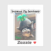 Taco St. Patrick's Stickers (Vel)